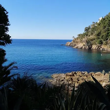 بيت للعطل Mas Provencal Calanques De Sur Mer *